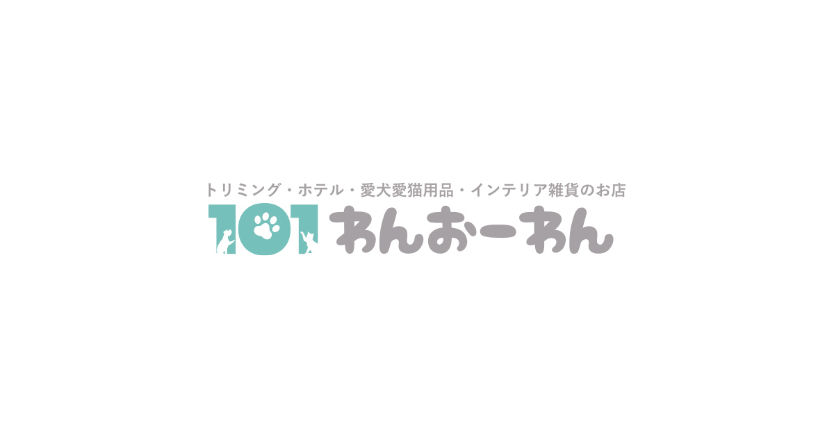 101(ワンオーワン)