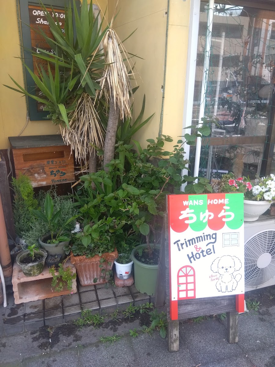 ペットサロン（岸里3丁目）