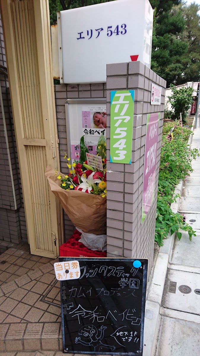 ドッグスペース エリア543