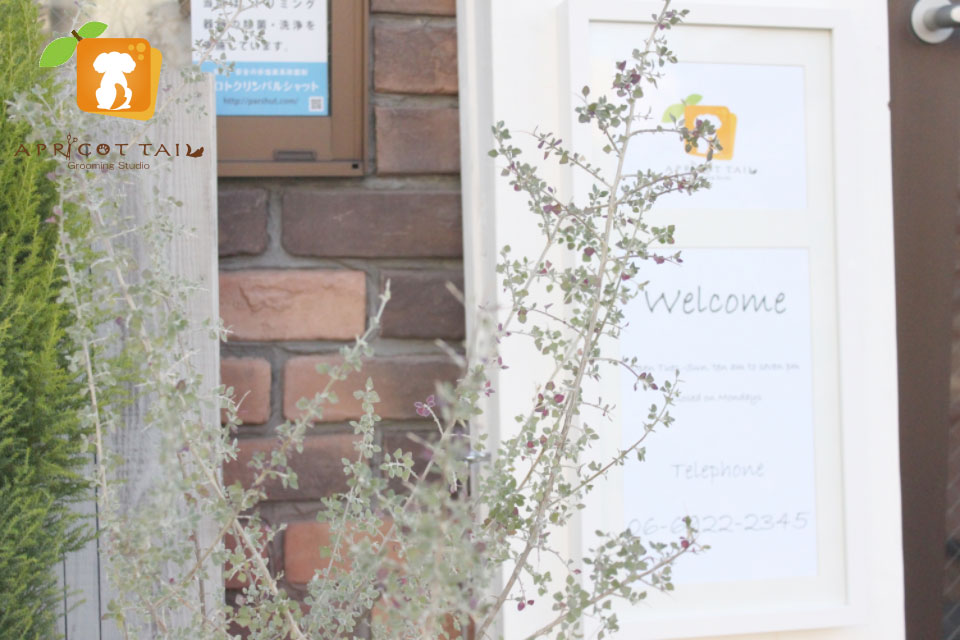 APRICOT TAIL Grooming Studio