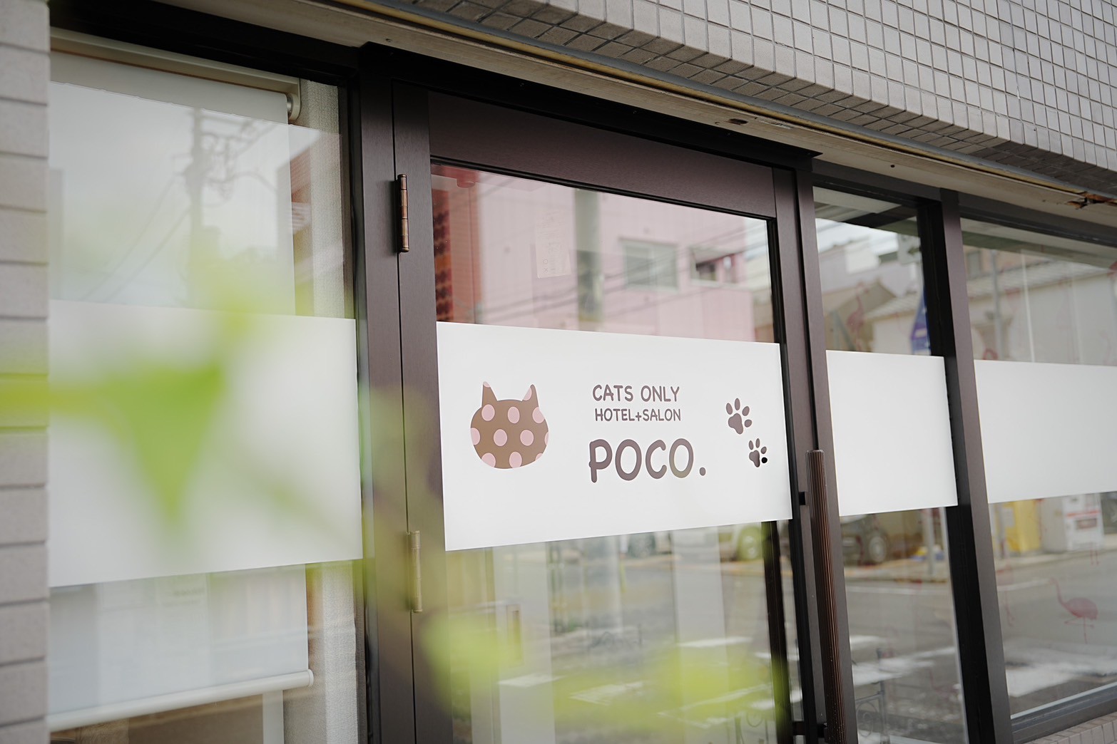 Cats Only Hotel + Salon POCO.