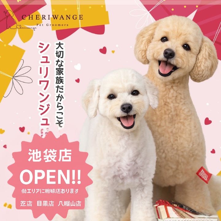 CHERIWANGE 池袋店