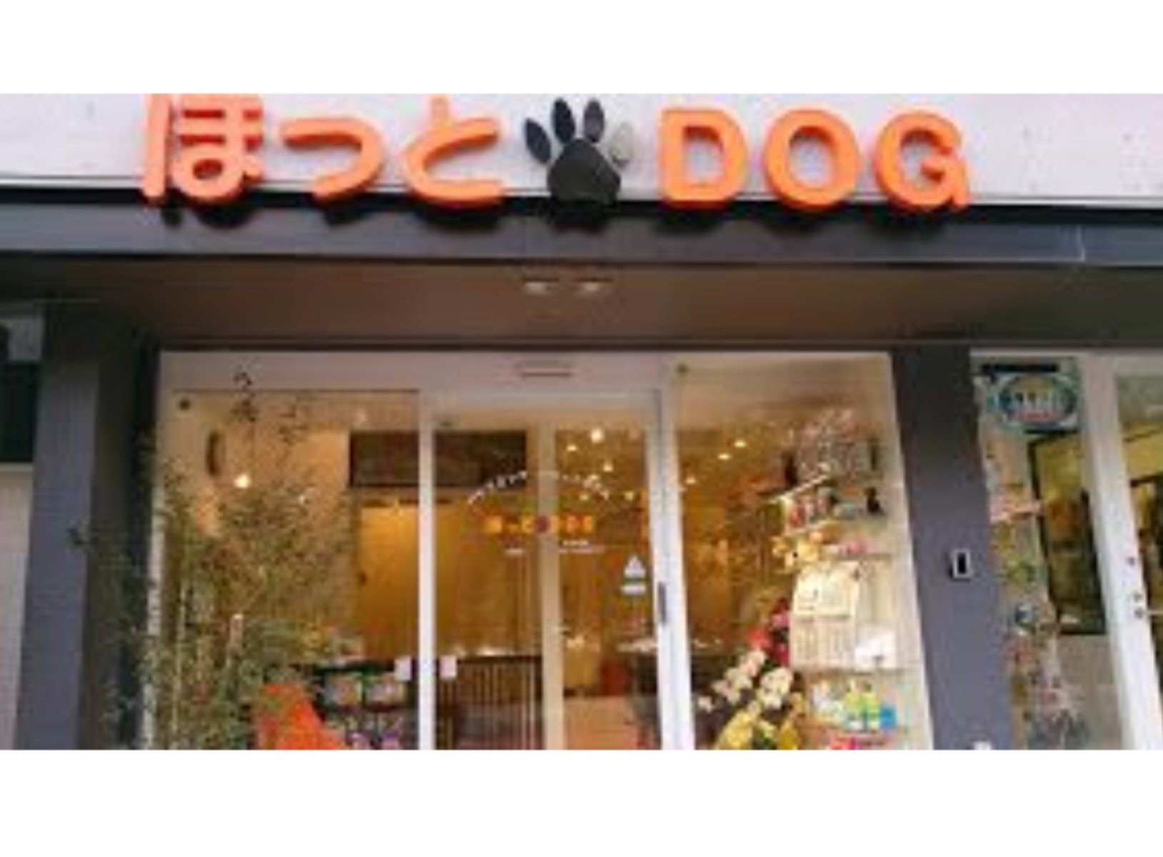 ほっとDOG