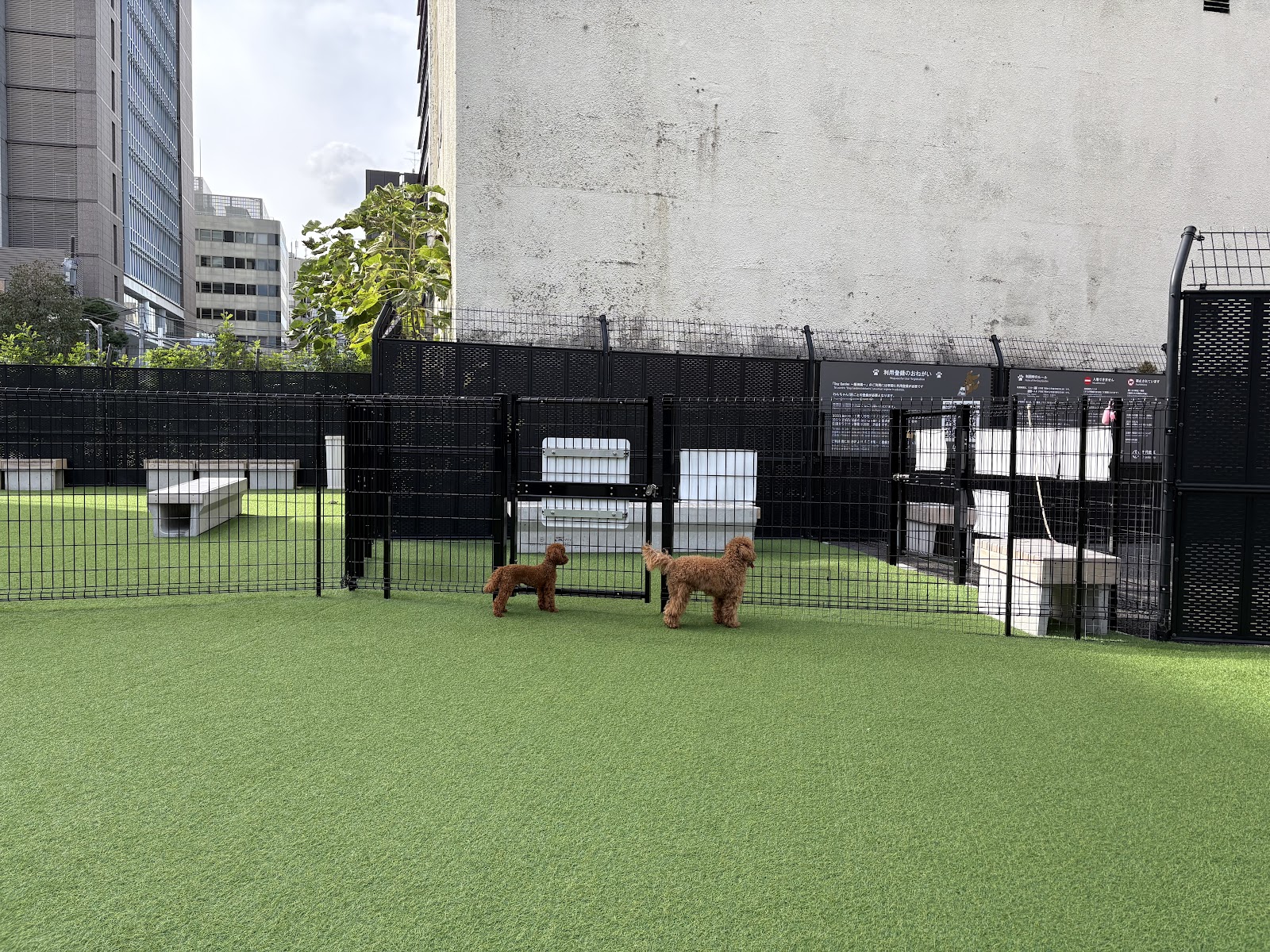 Dog Garden ~飯田橋~