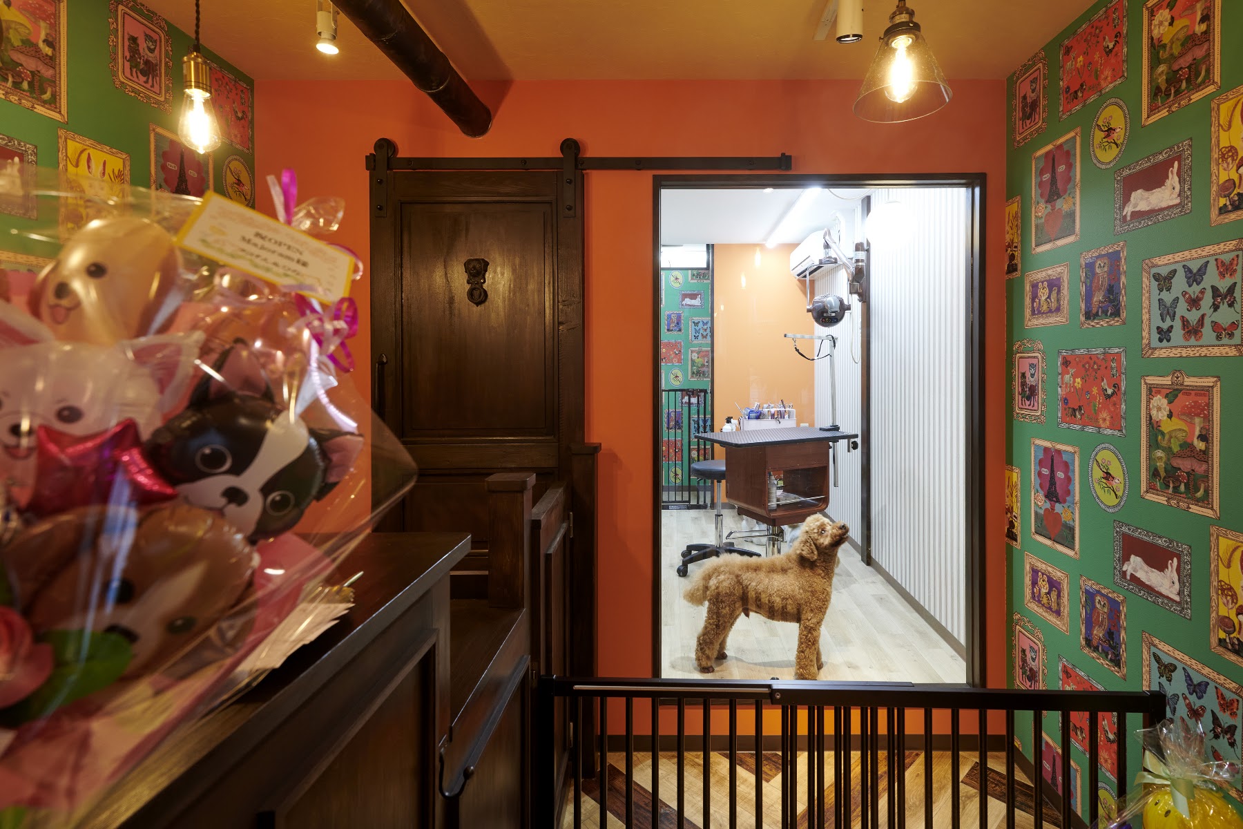 dog grooming salon Majoram