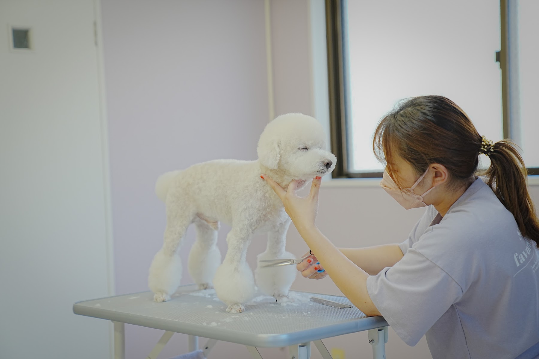 陽だまりDog's