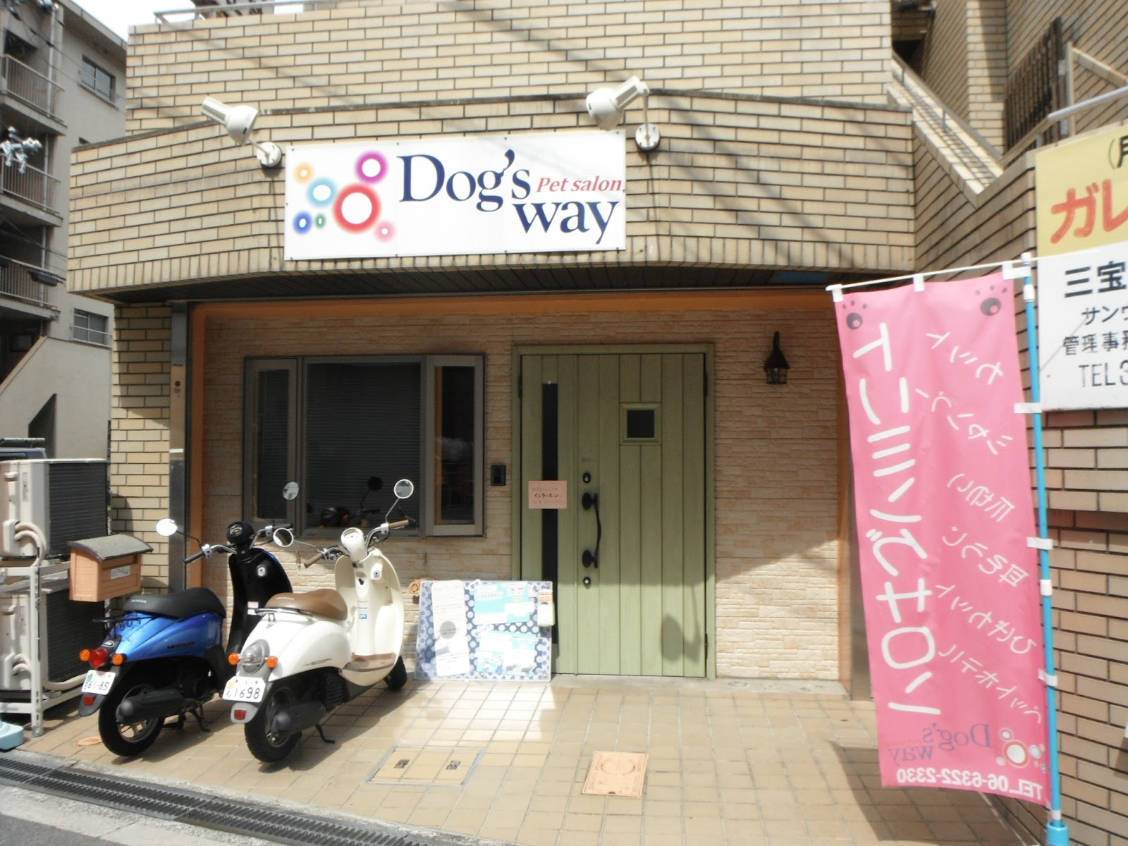 Dog's way
