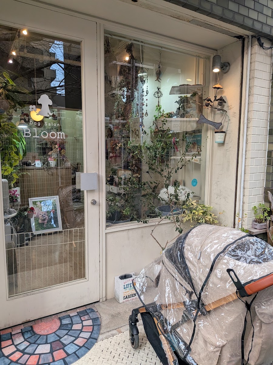Dog Salon Bloom
