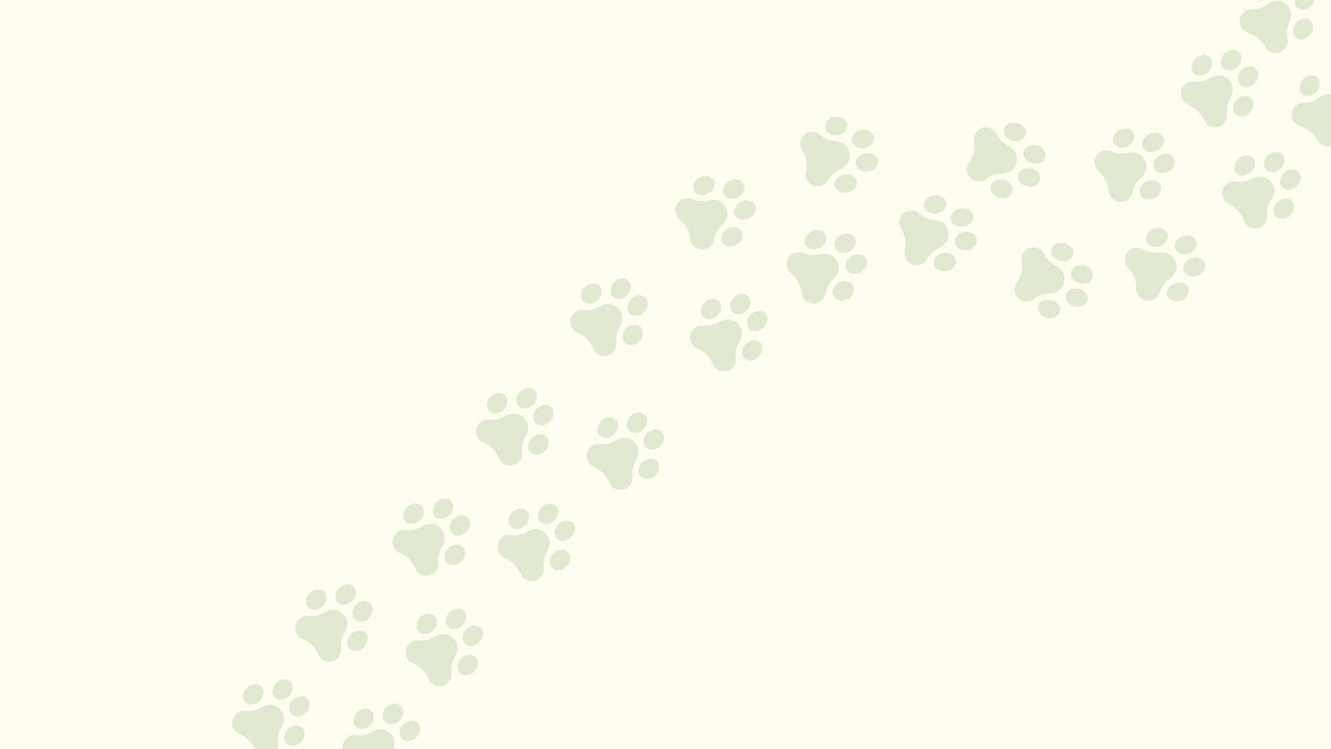 Dog Salon Lupo Prikka