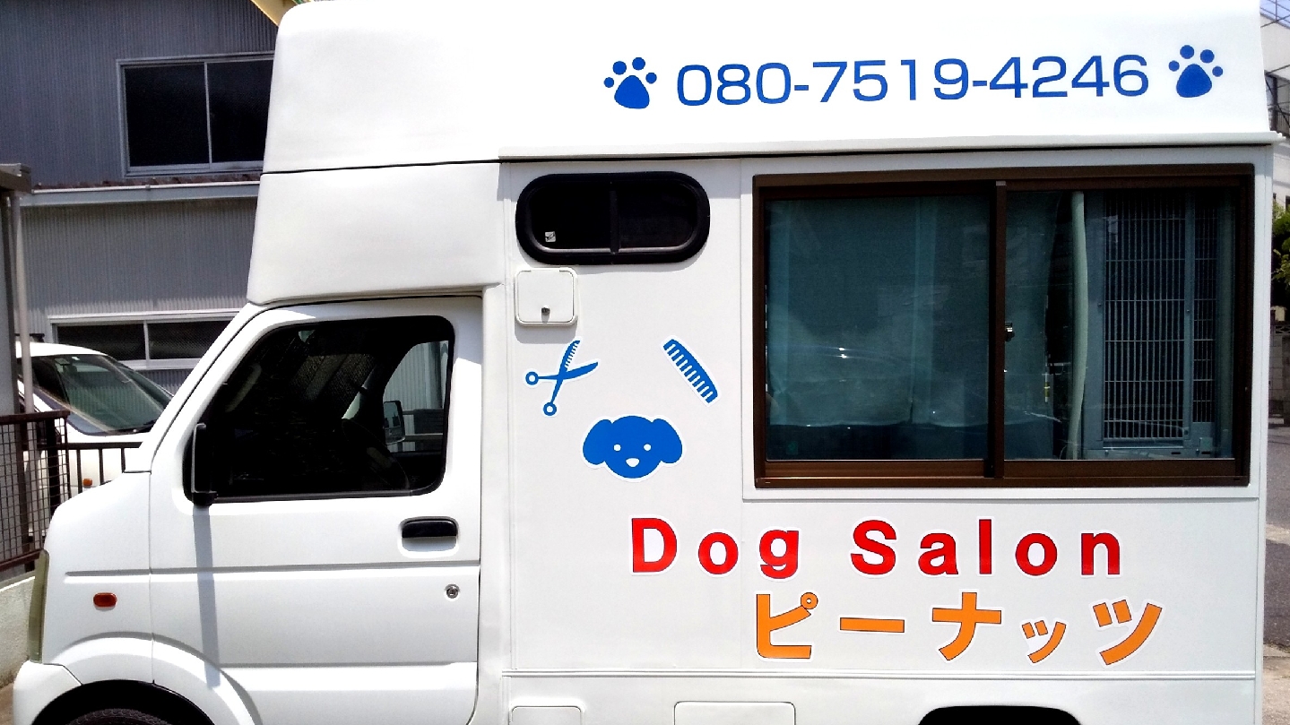 DogSalon ピーナッツ