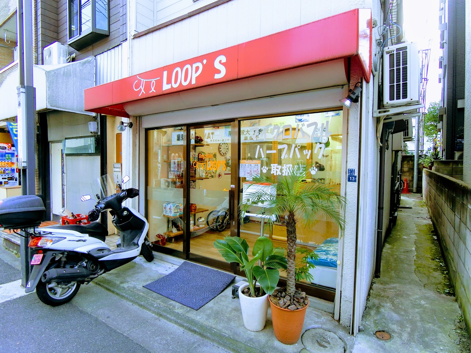 DogSalon LOOP'S