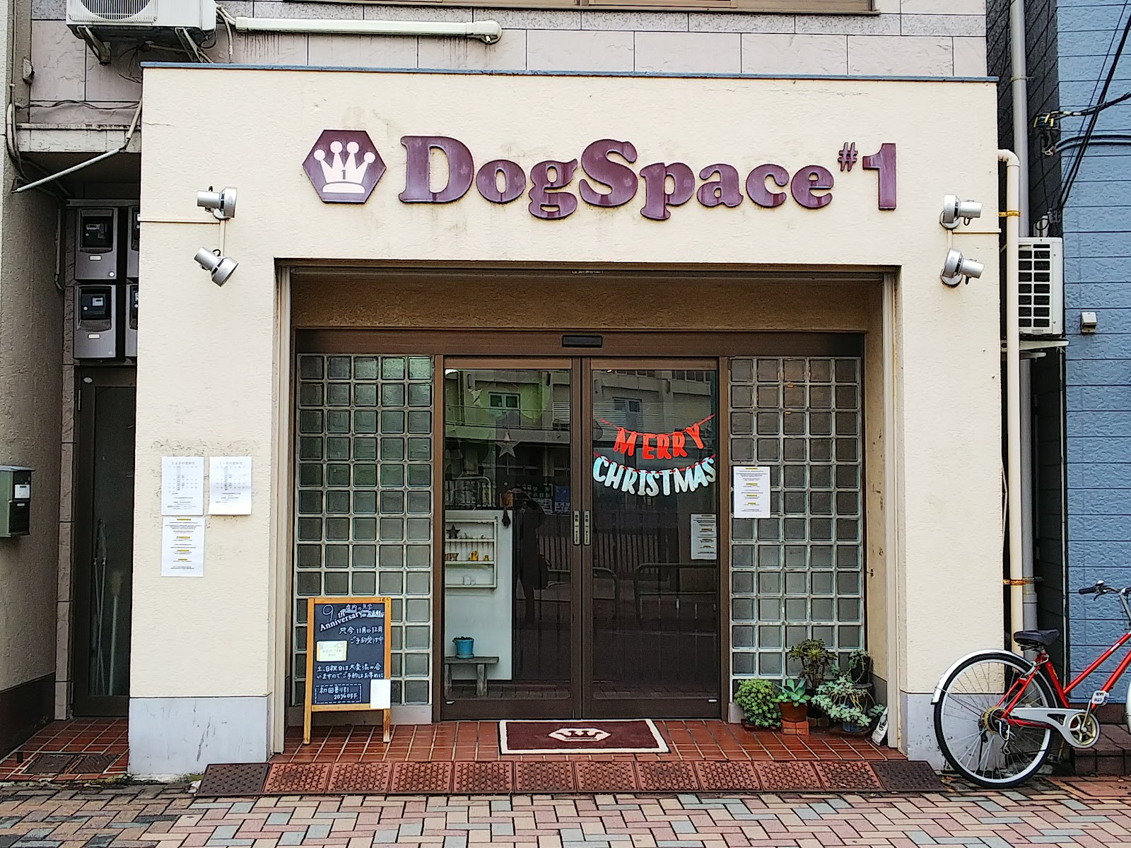 DogSpace#1