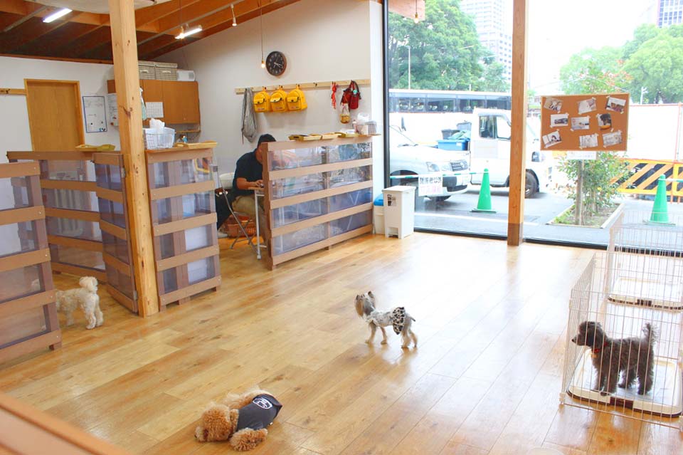 GRASS DOG&CAT てんしば店