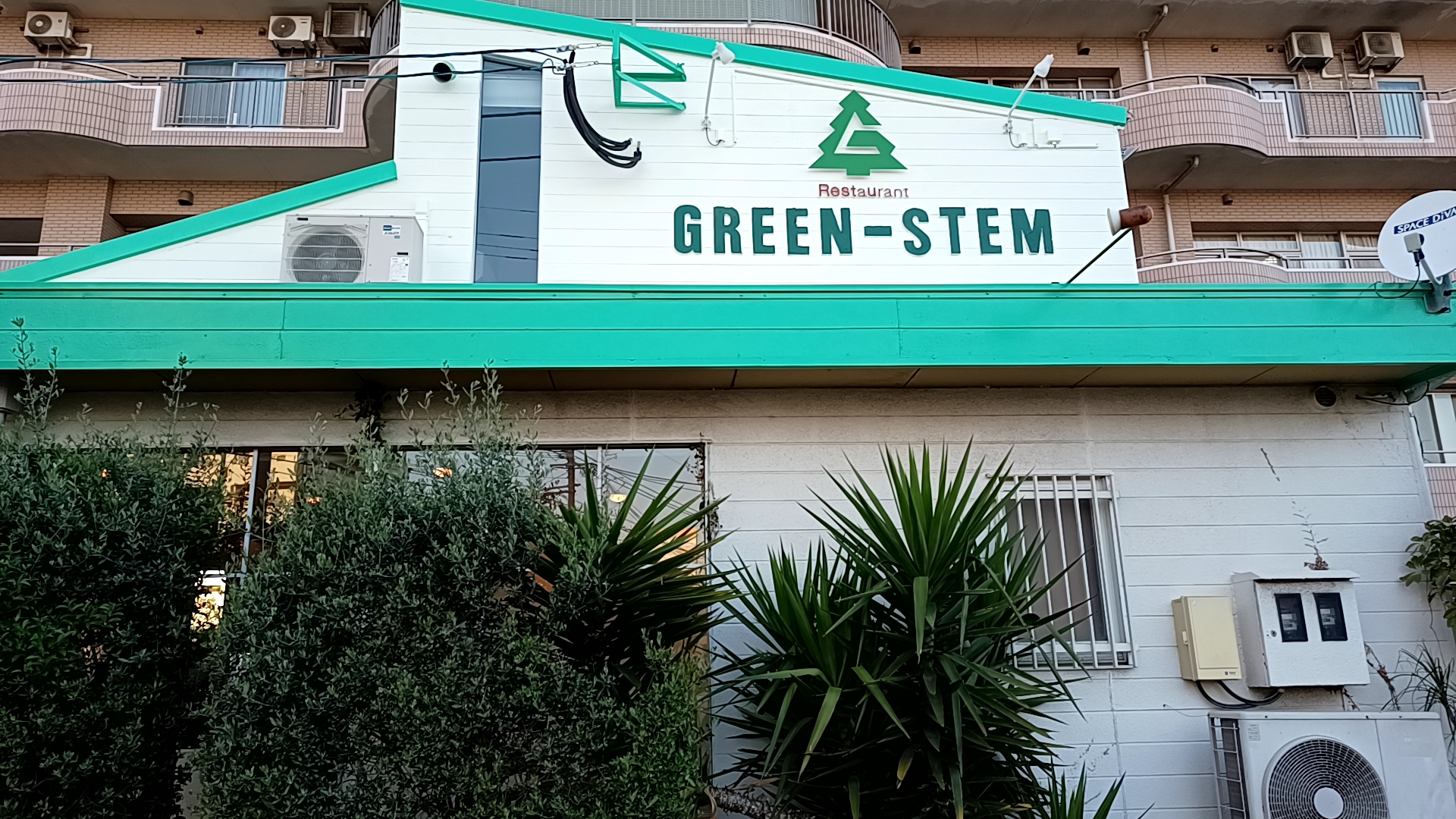 GreenStem（グリーンステム）
