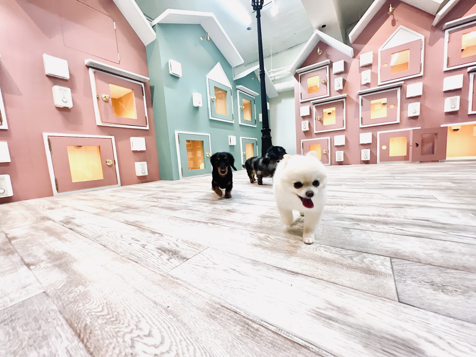 grooming studio AN☆DIX