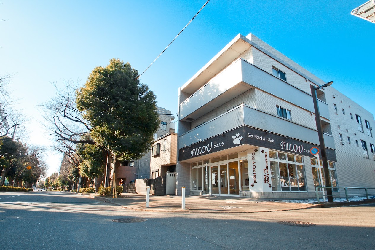 i-dogs FILOU 光が丘店