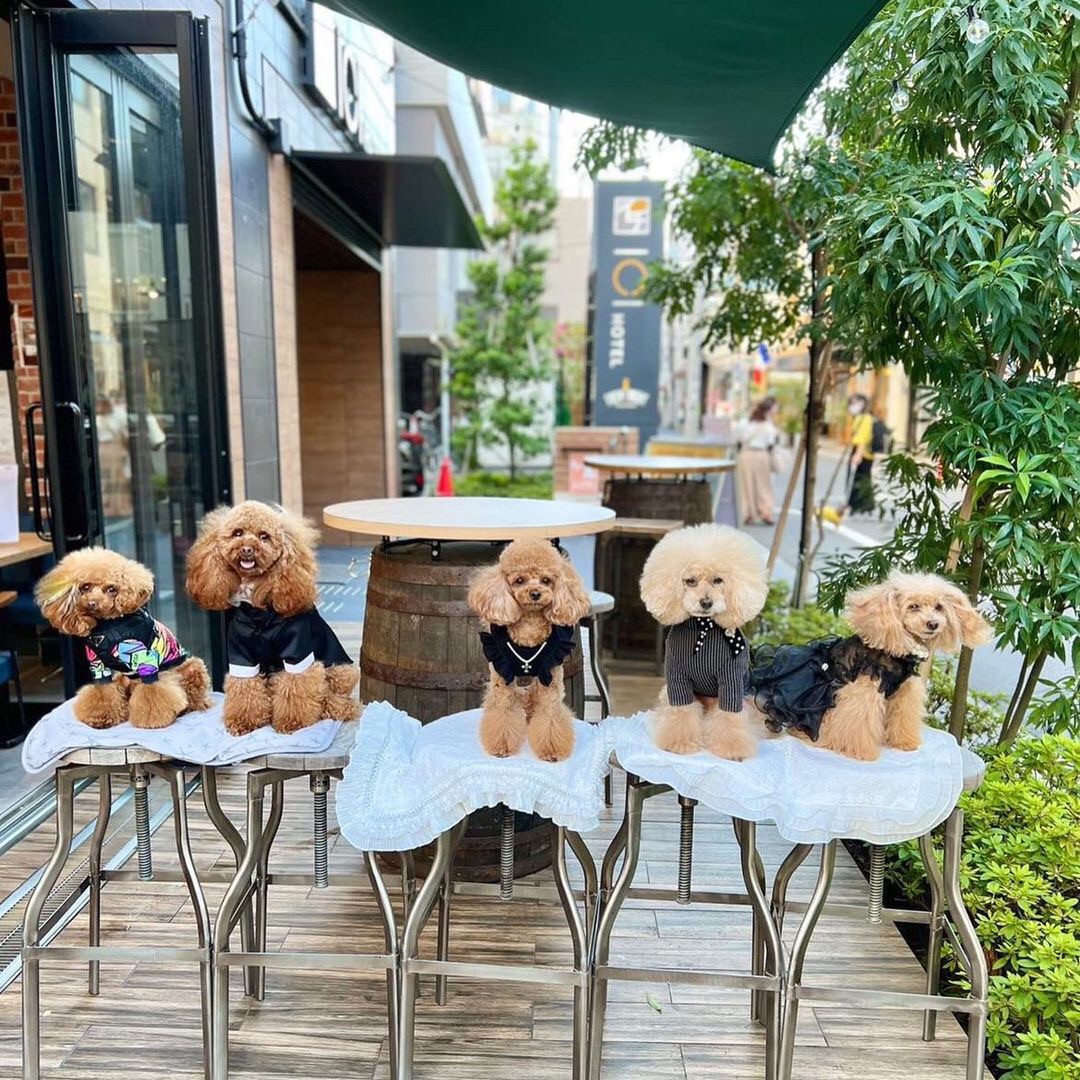 ICI HOTEL Asakusabashi(イチホテル浅草橋)