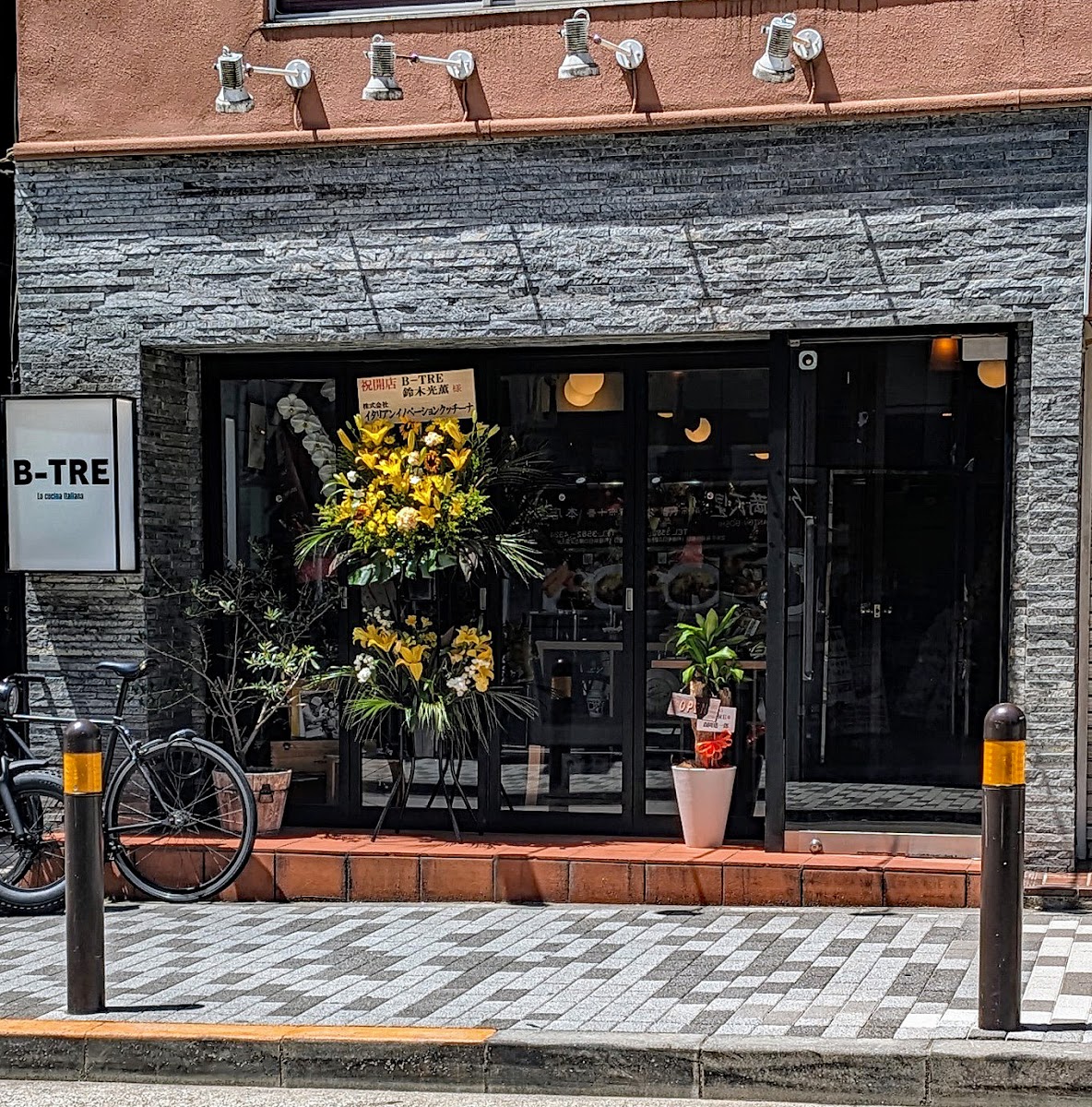 il Magnifico
