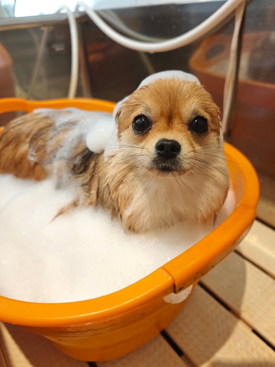 LINX Grooming Room