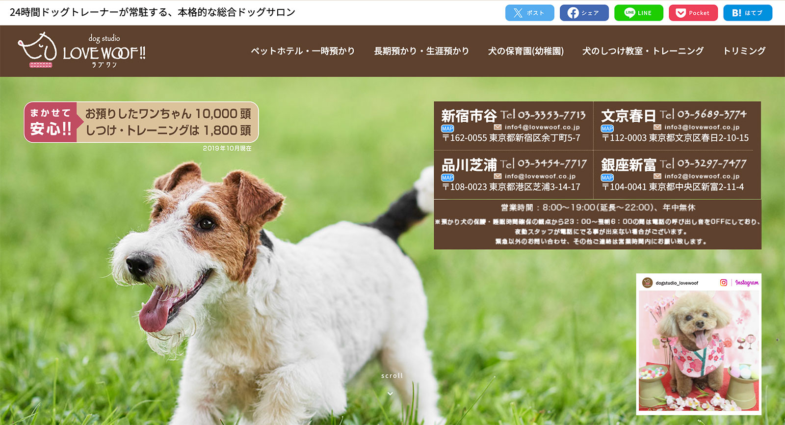 ドッグスタジオ LOVE WOOF!! 文京春日店