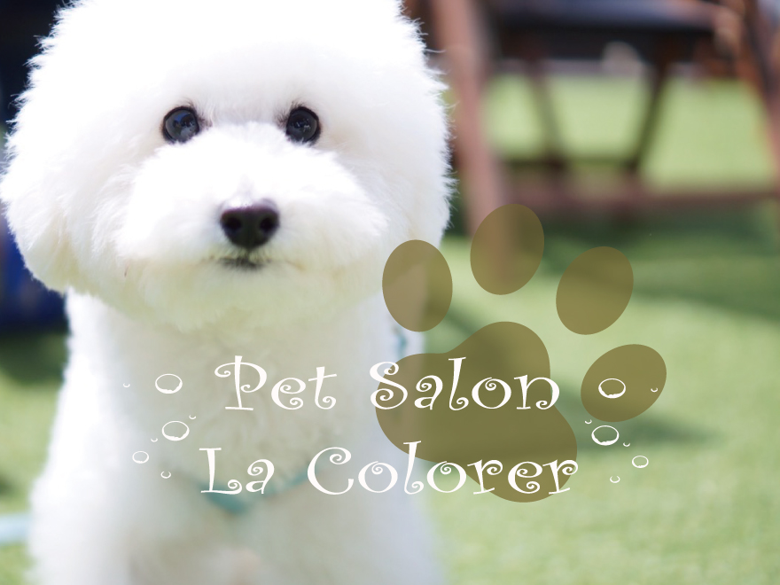 Pet Salon La Colorer