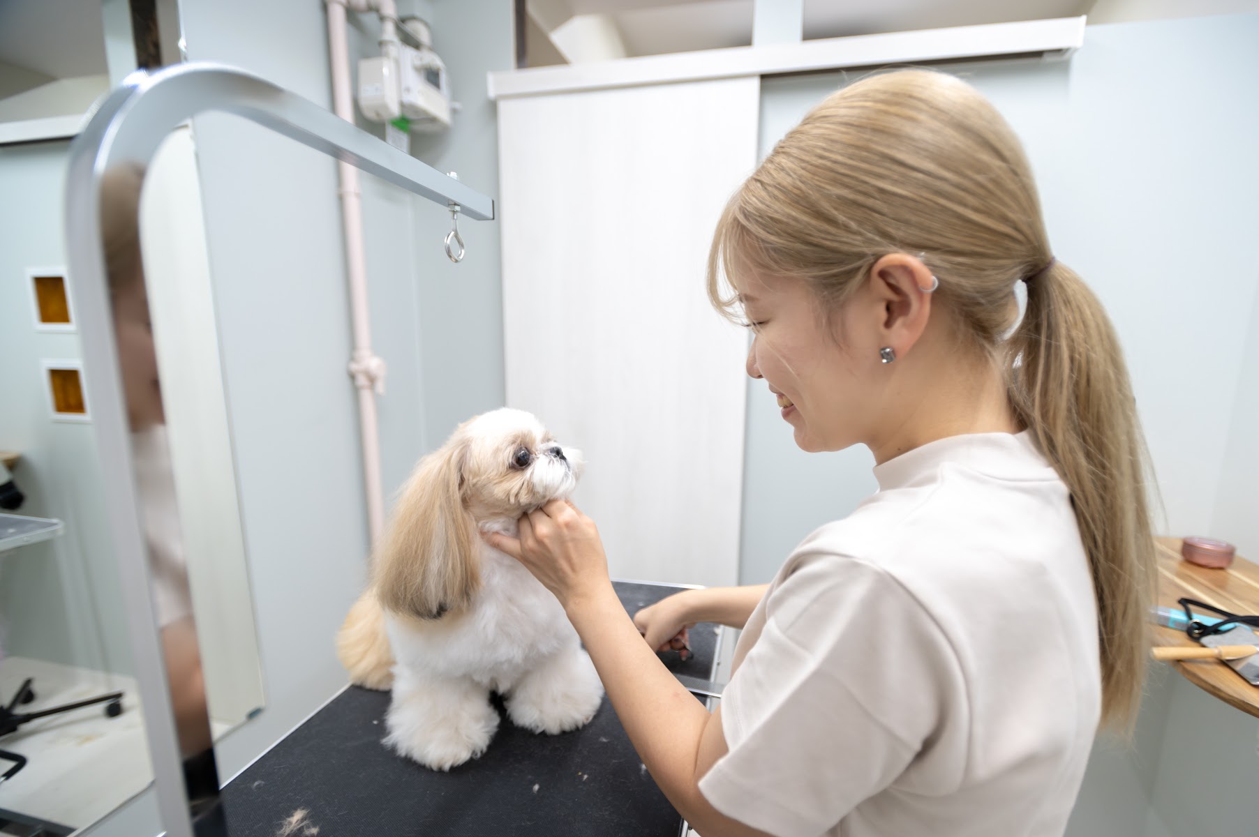pet salon Milk