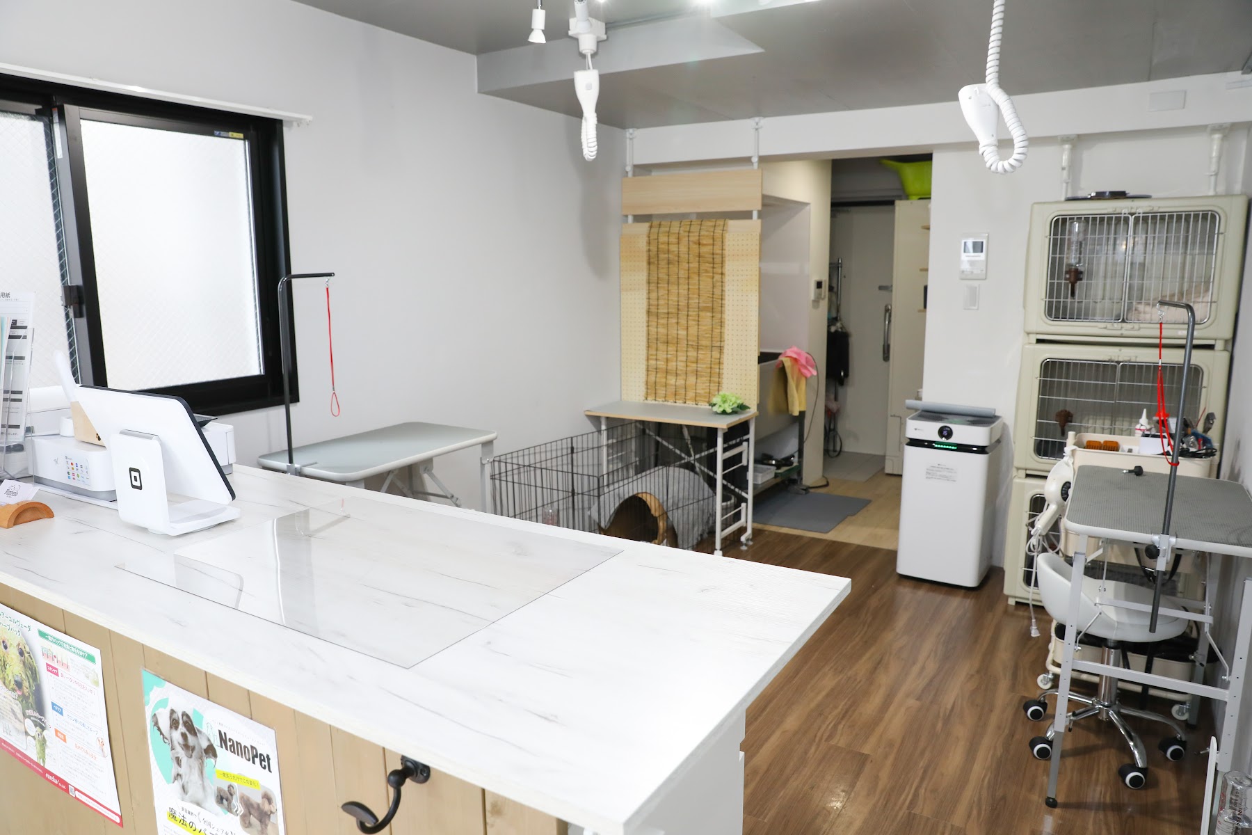 Pet salon Ponteno