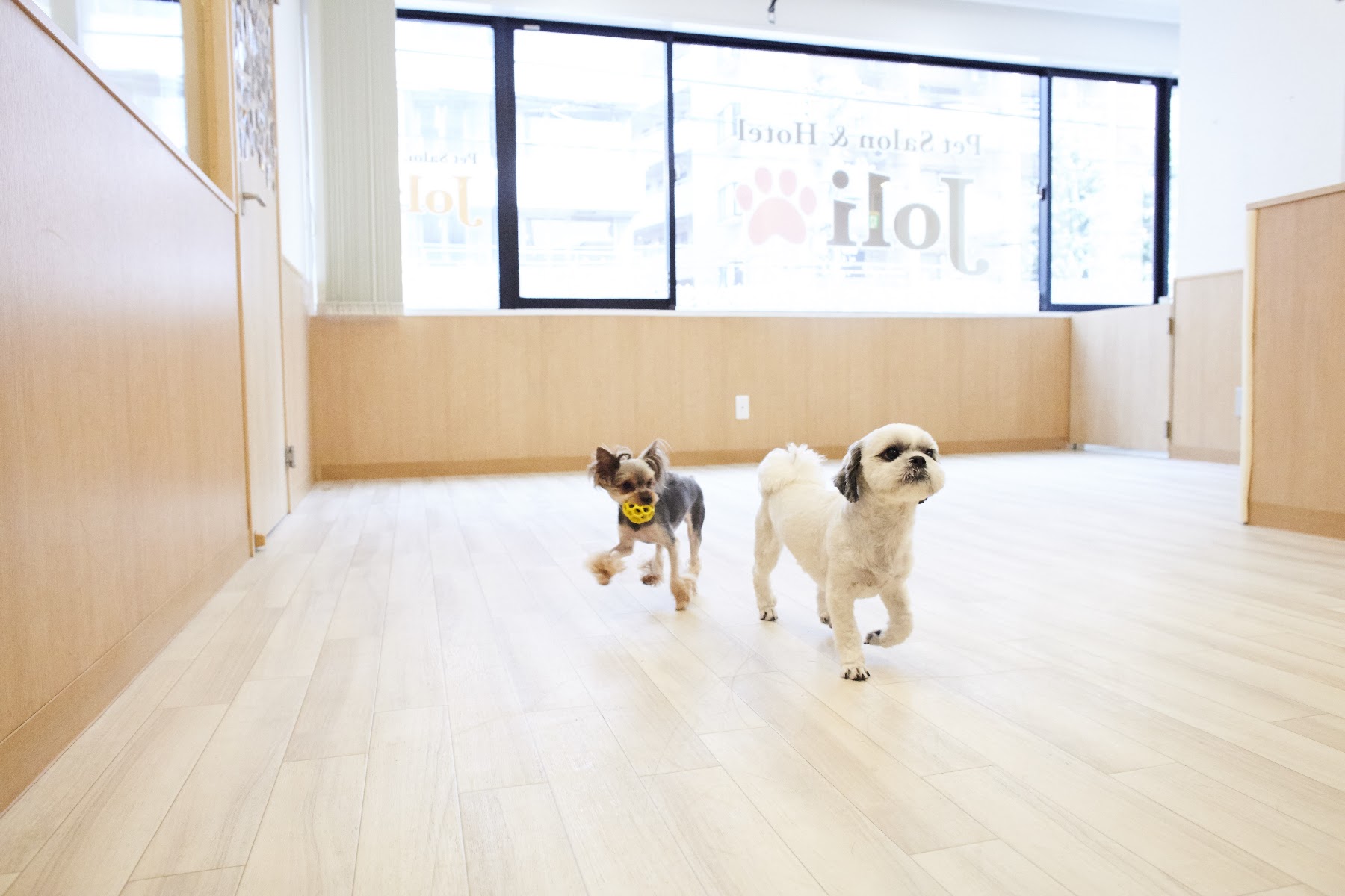 PetSalon&Hotel Joli 神楽坂店