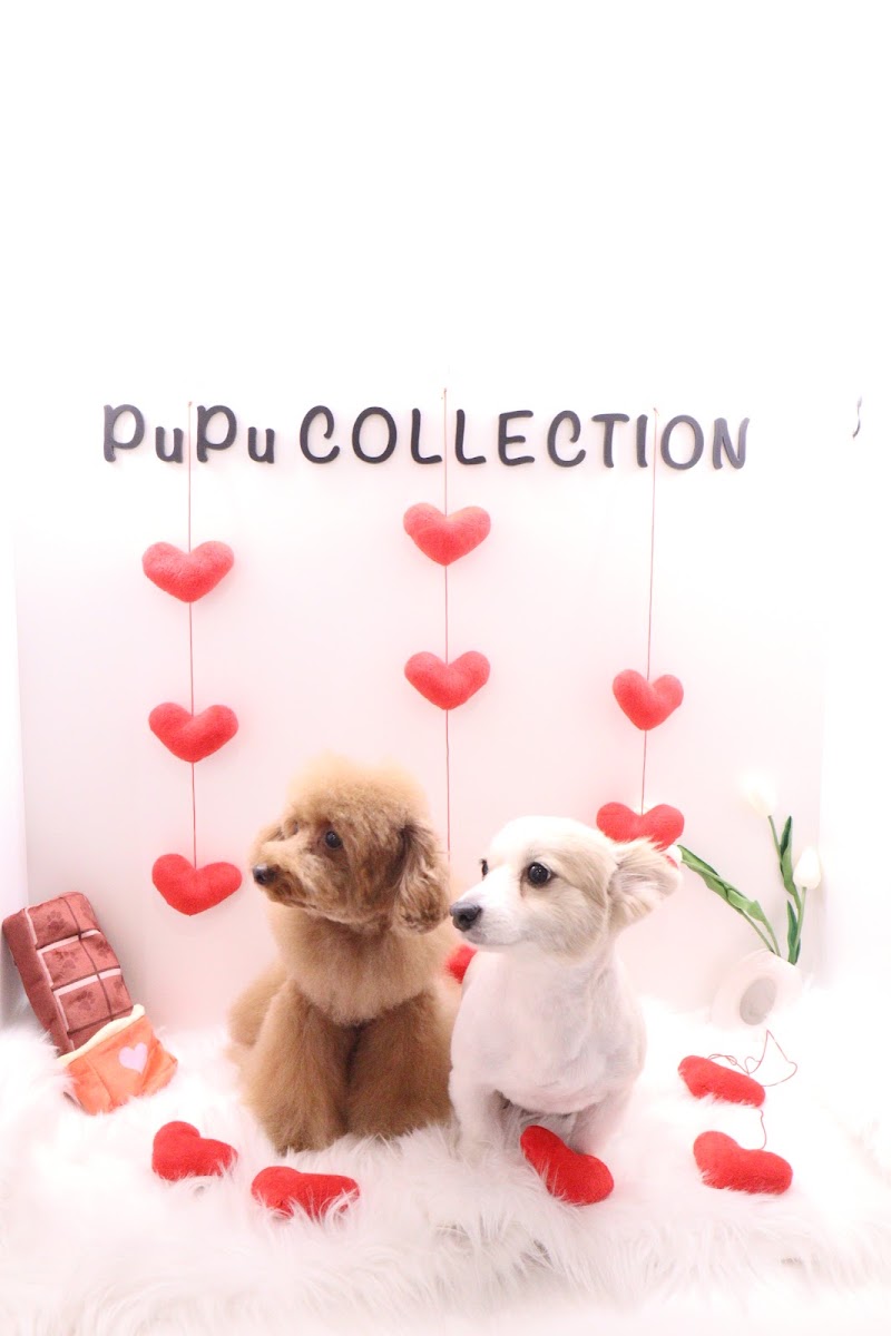 PuPu COLLECTION