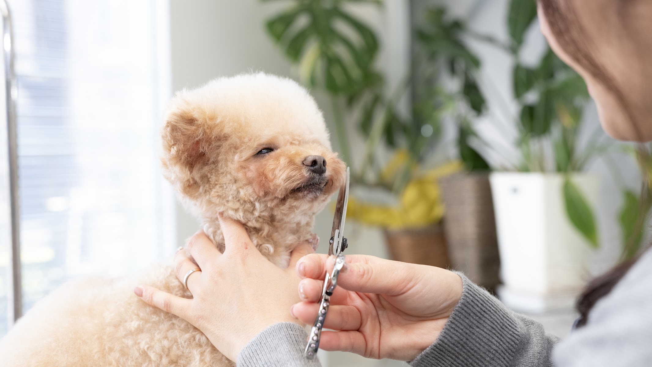 Radiant
