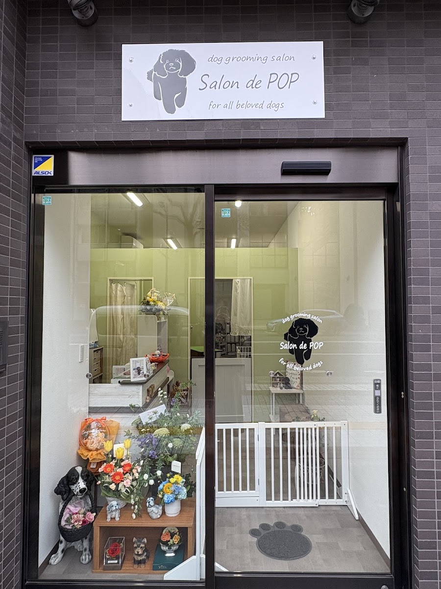 Salon de POP