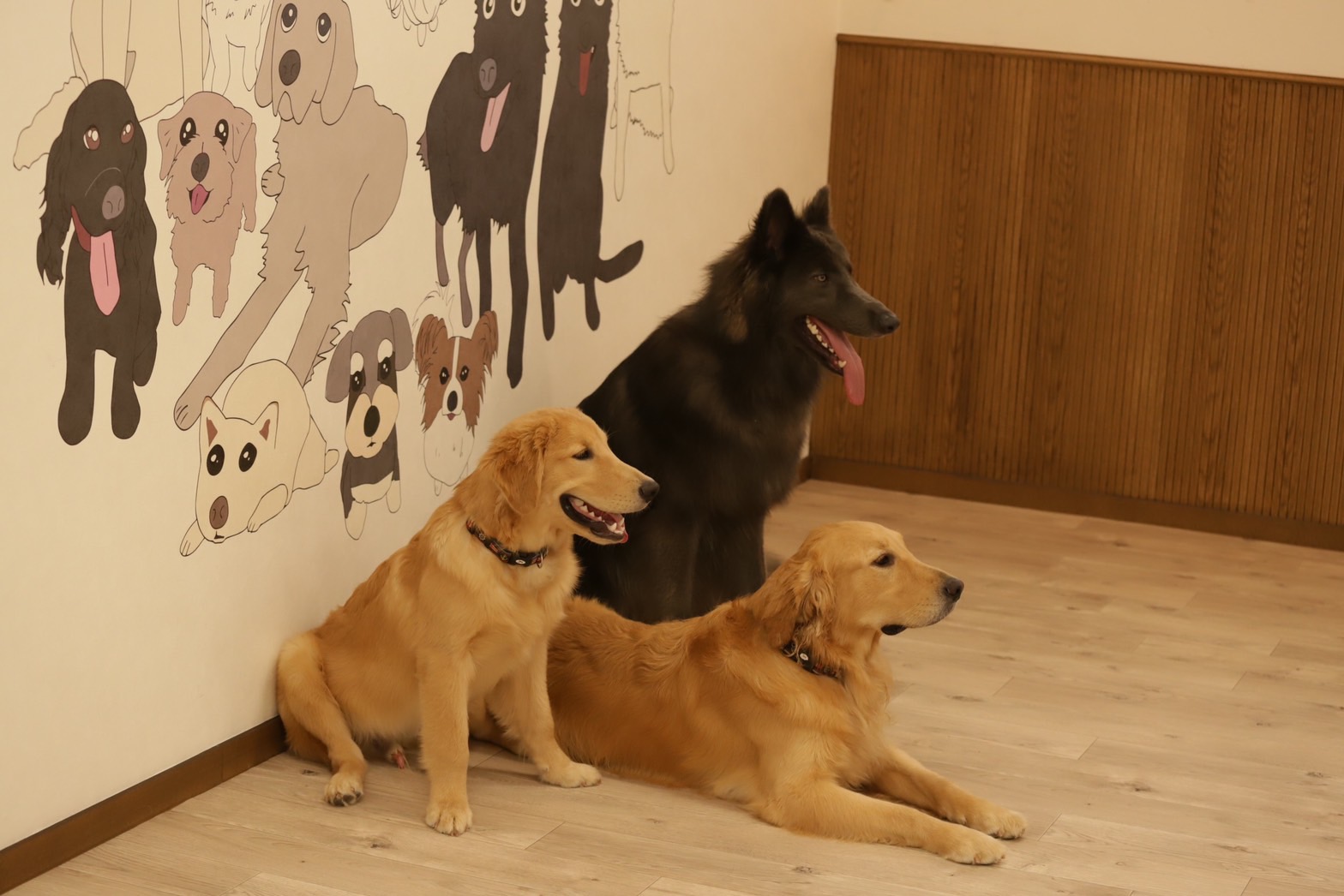 School of DOG 目黒本店