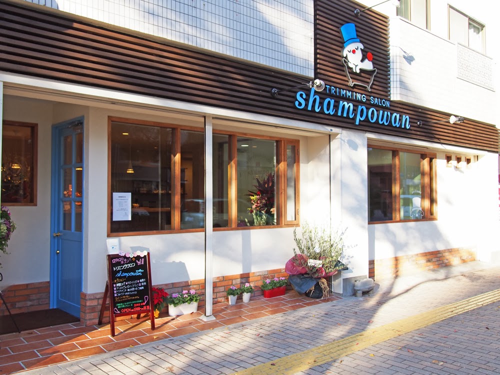 Shampowan