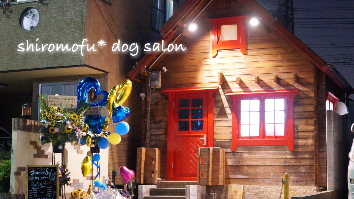 shiromofu* dog salon