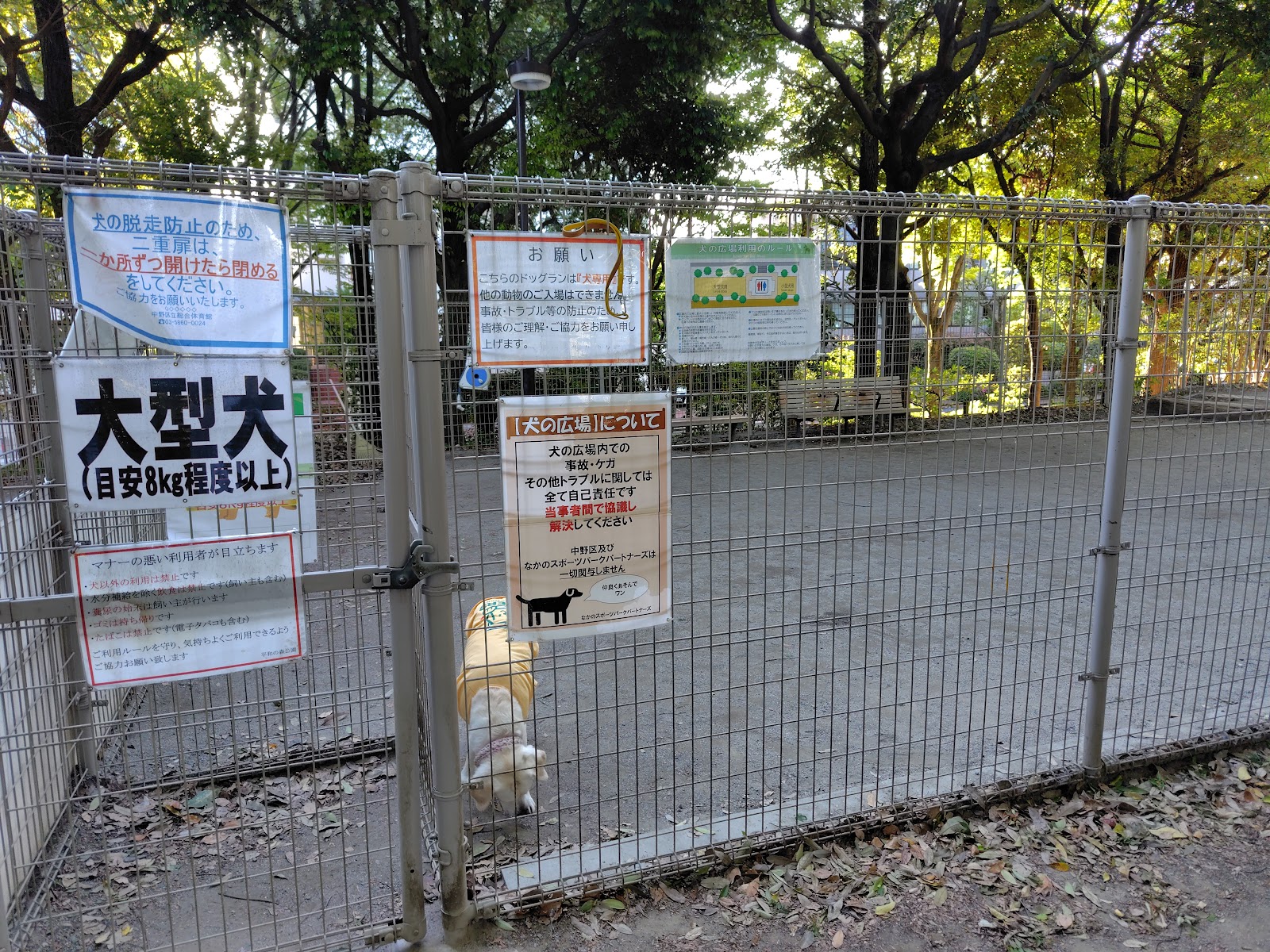 平和の森公園 犬の広場(ドッグラン)