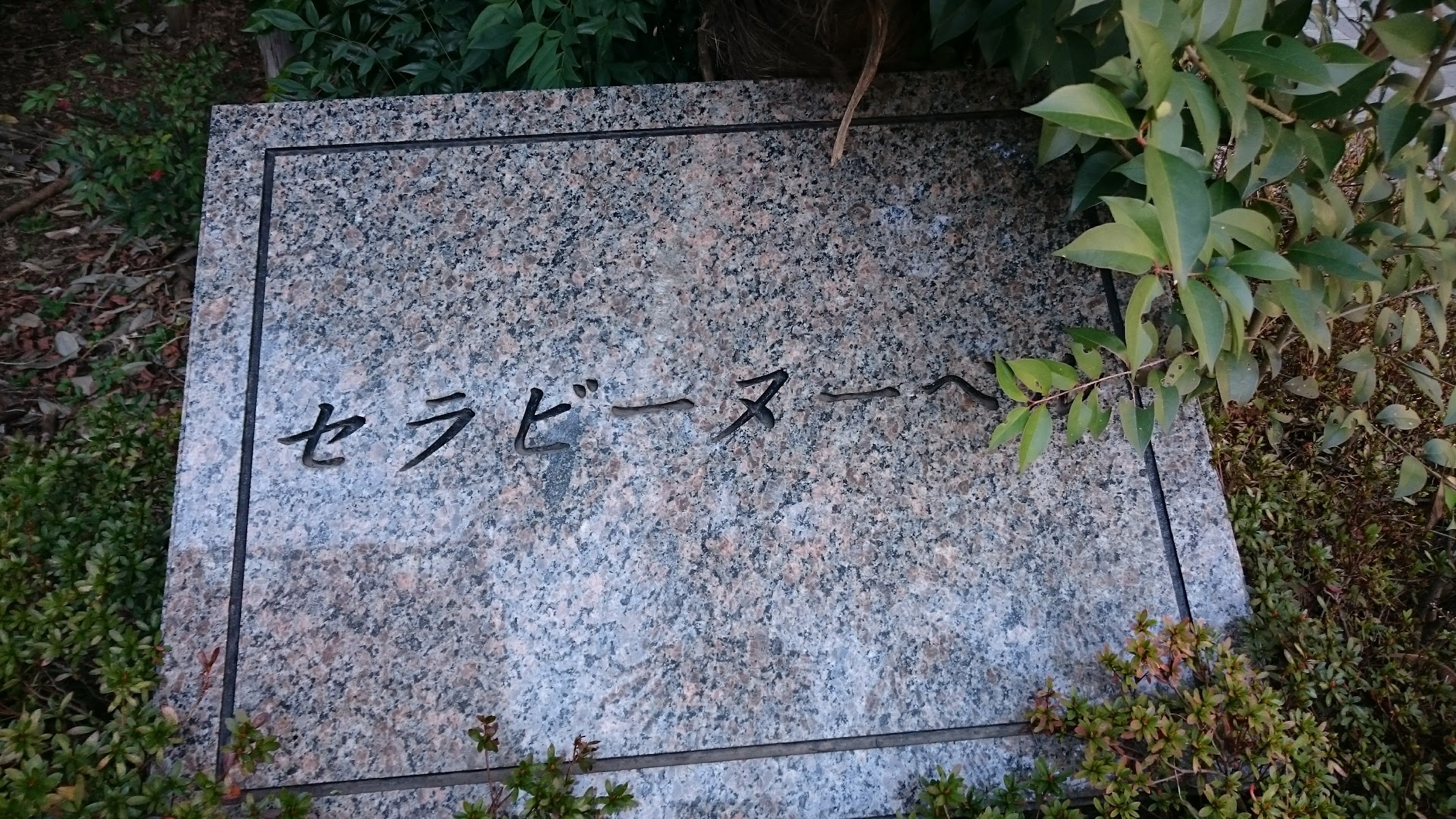 中野テラスドッグラン