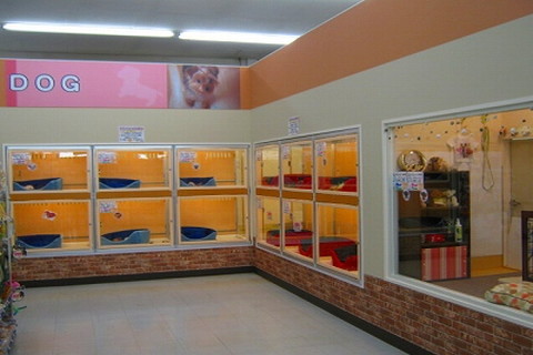 ペットプラザ 南津守店