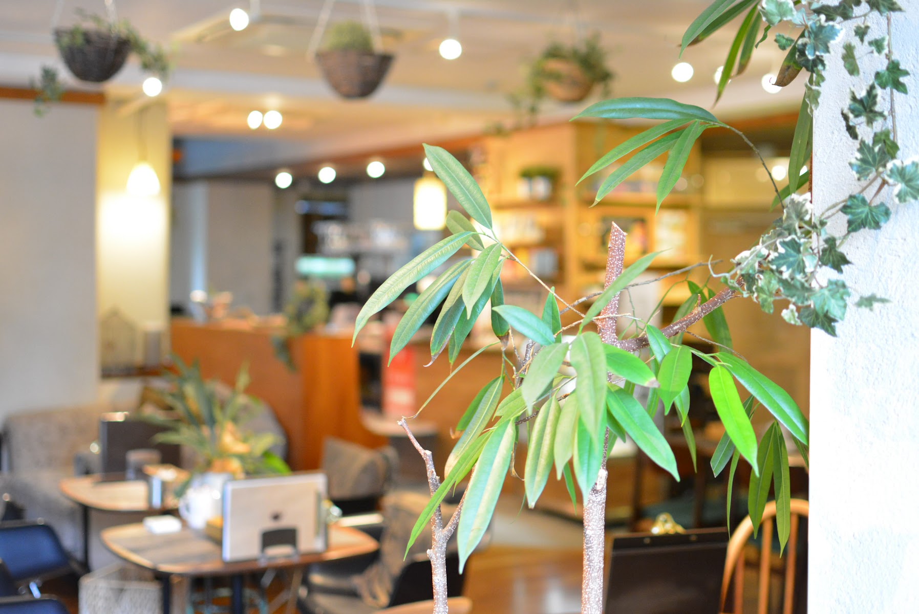 野菜料理＆ジェラートカフェ（西中島）
