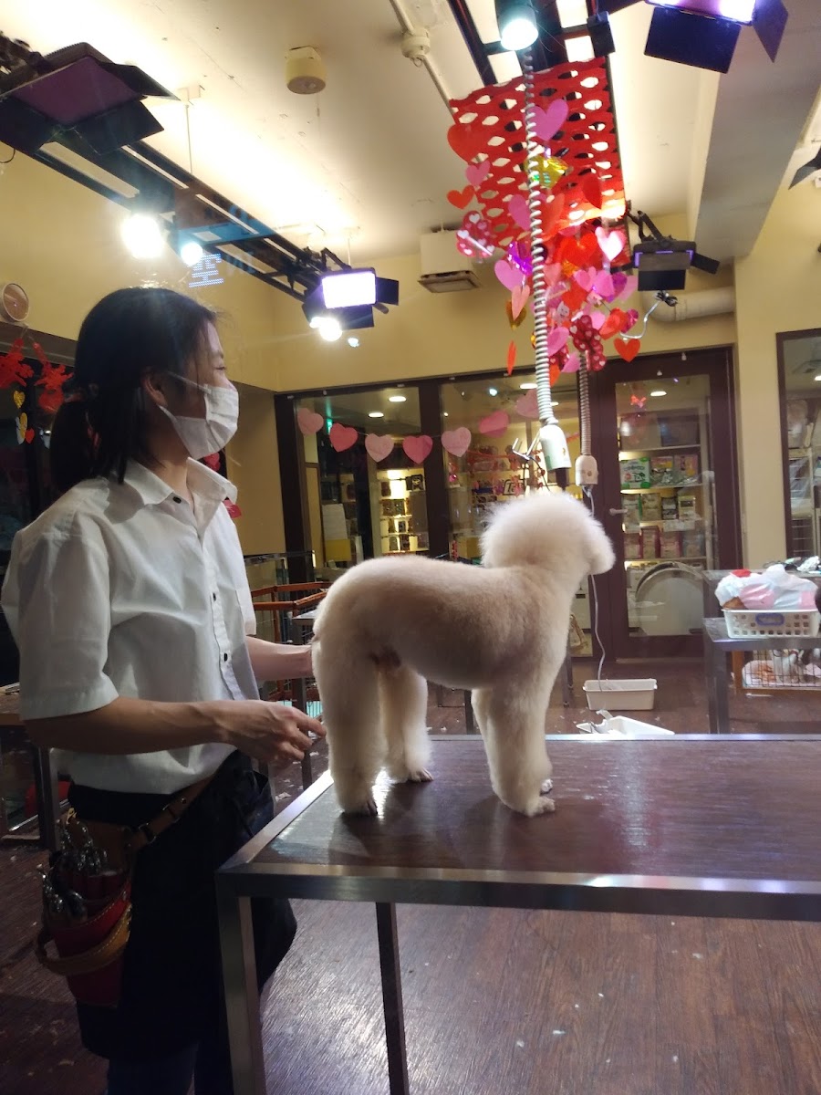 犬の美容室 ポケットドッグ