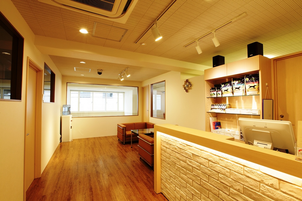 ドッグスタジオ ラブワン!! 銀座新富
