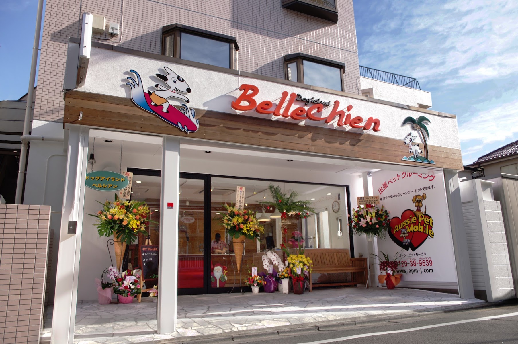 ドッグアイランド ベルシアン 成増本店
