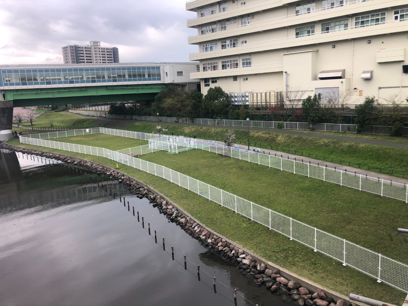 旧中川水辺公園ドッグラン