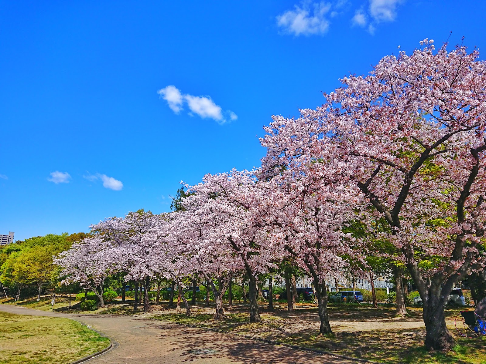 平和公園ドッグラン