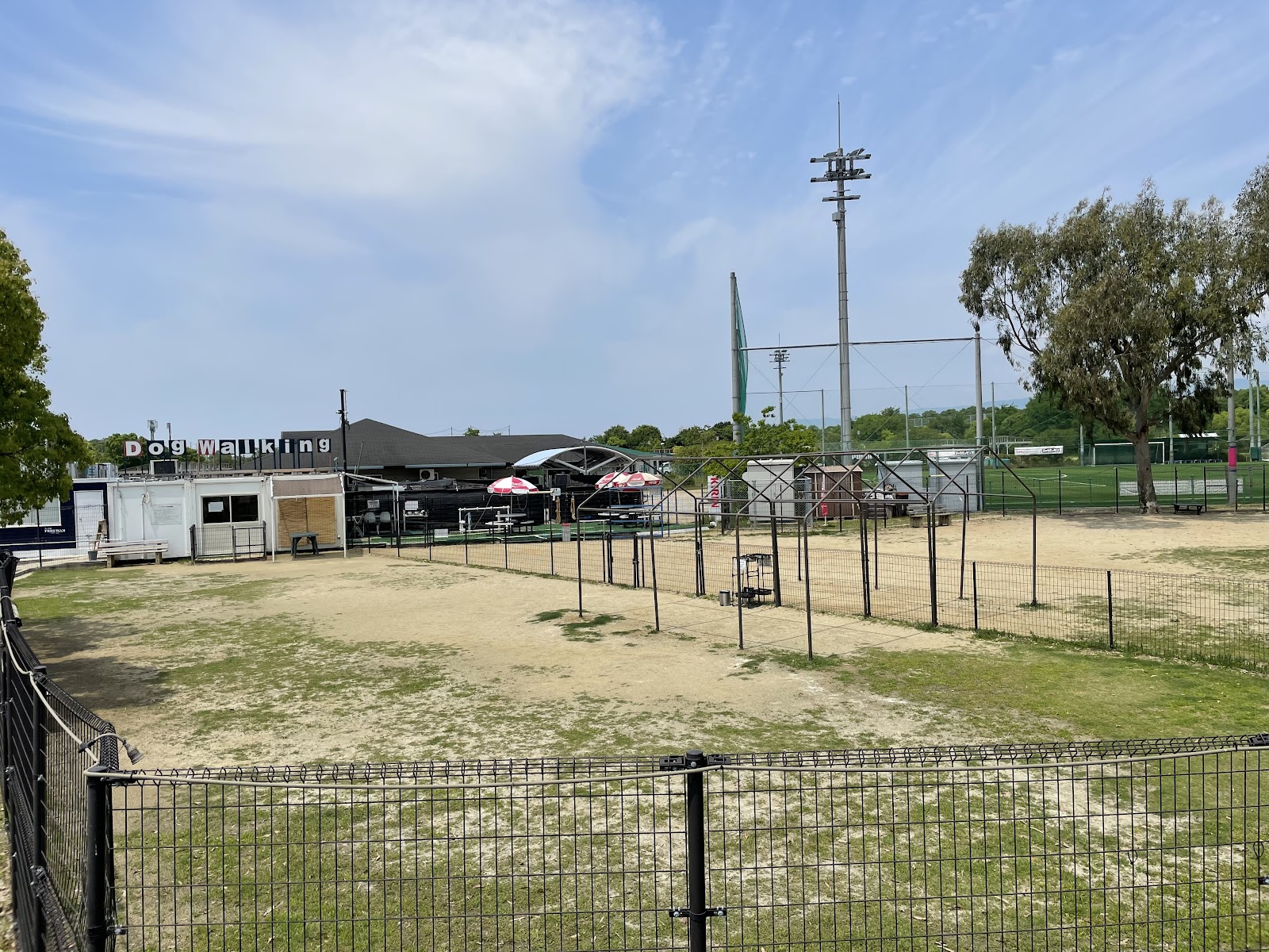 大阪舞洲ドッグウォーキング