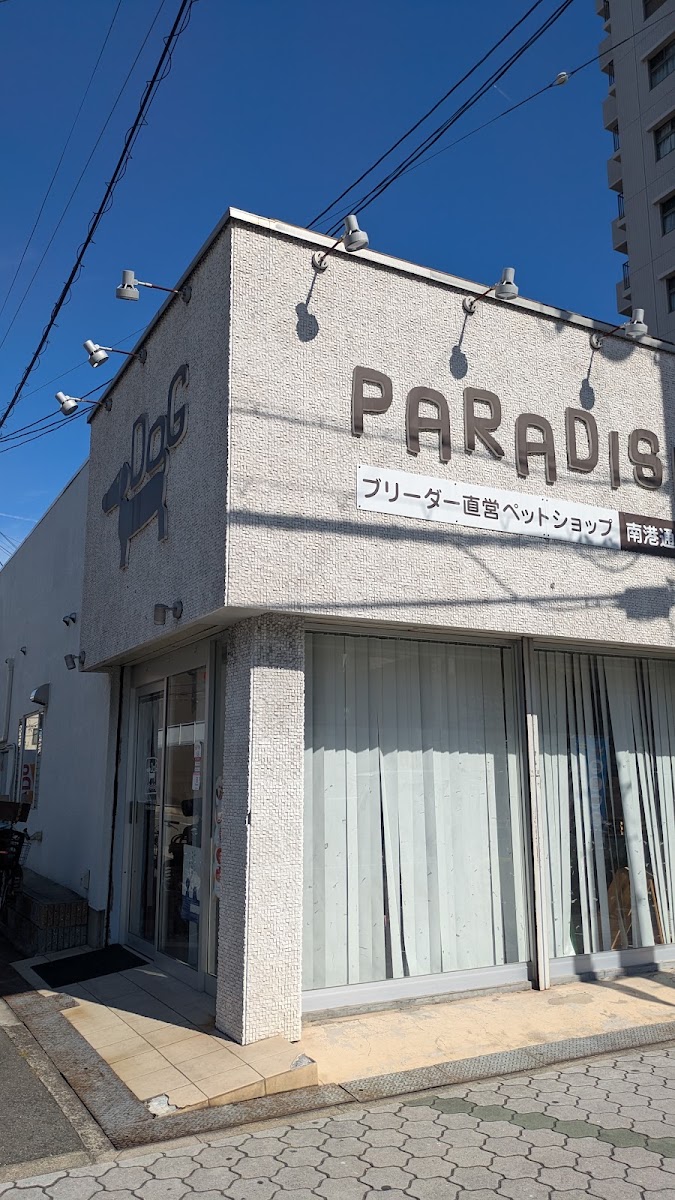 ドッグパラダイス