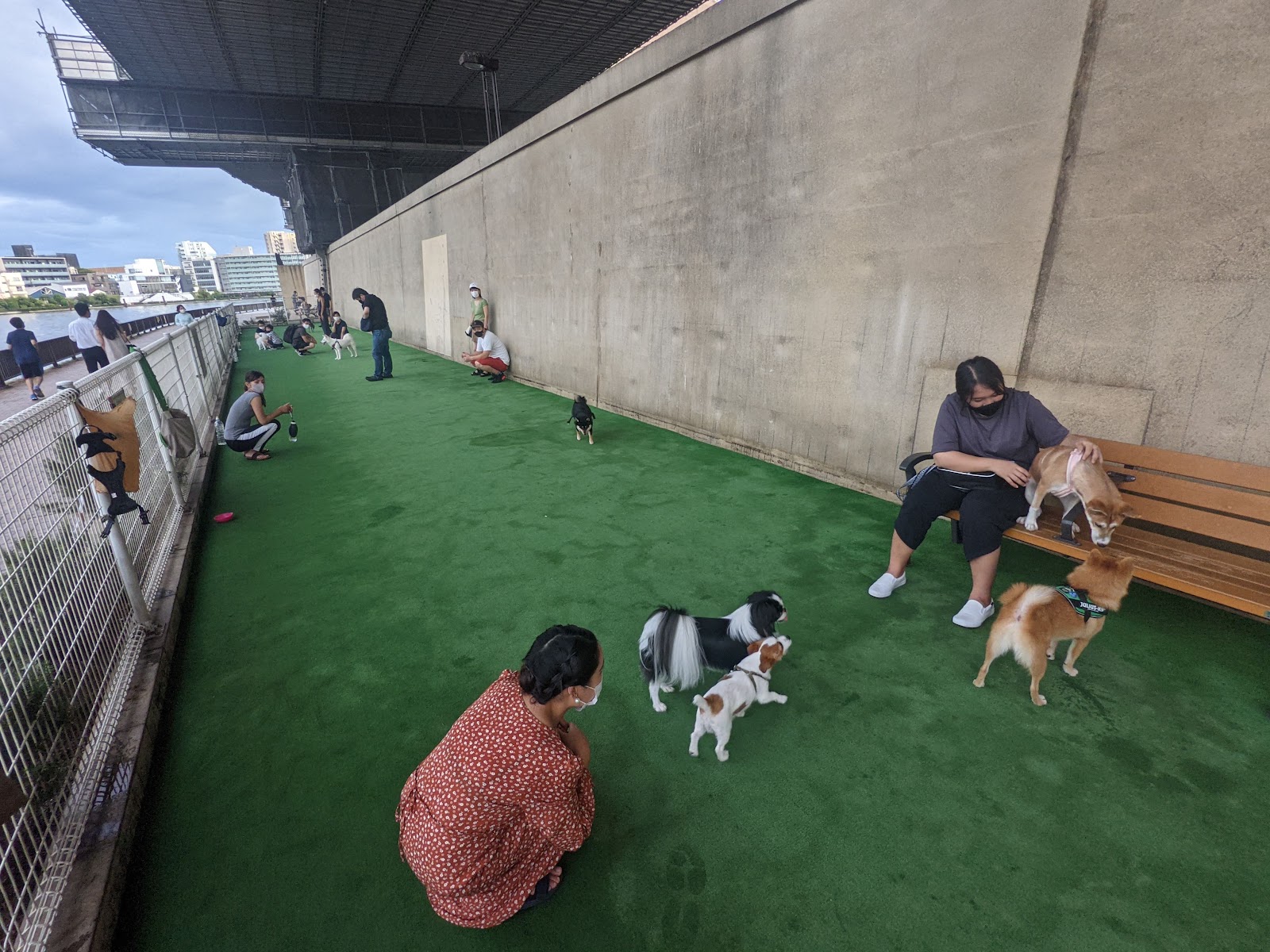 浜町公園わんわん広場