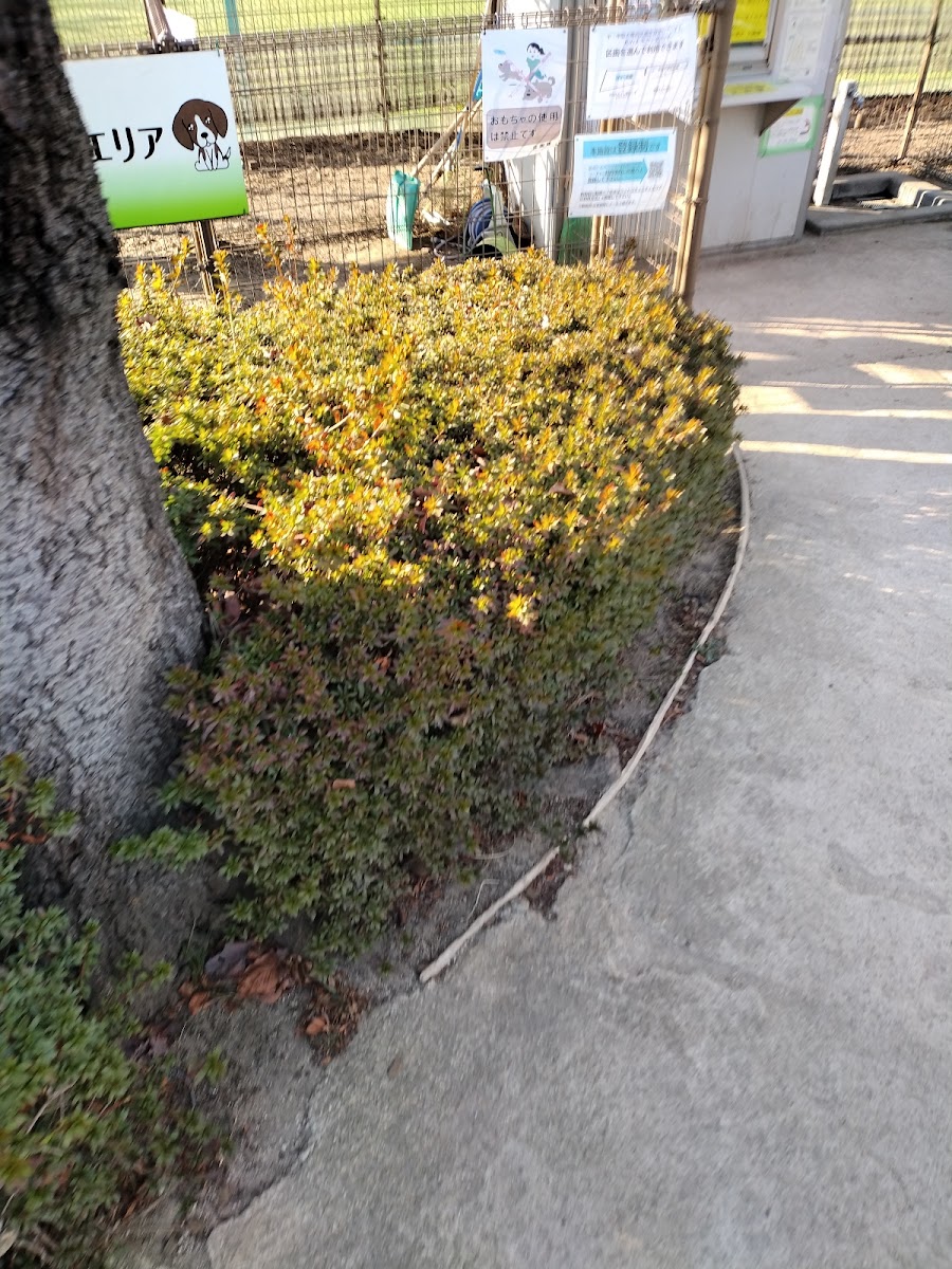 台東区ペットコミュニティエリアドッグラン(隅田公園)