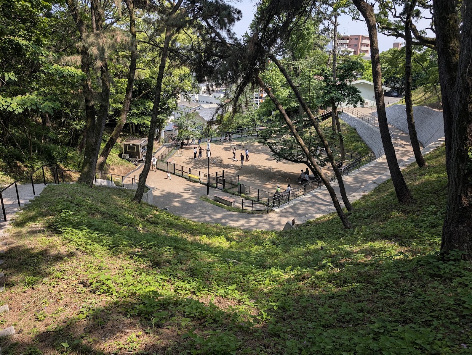 西公園ドッグラン