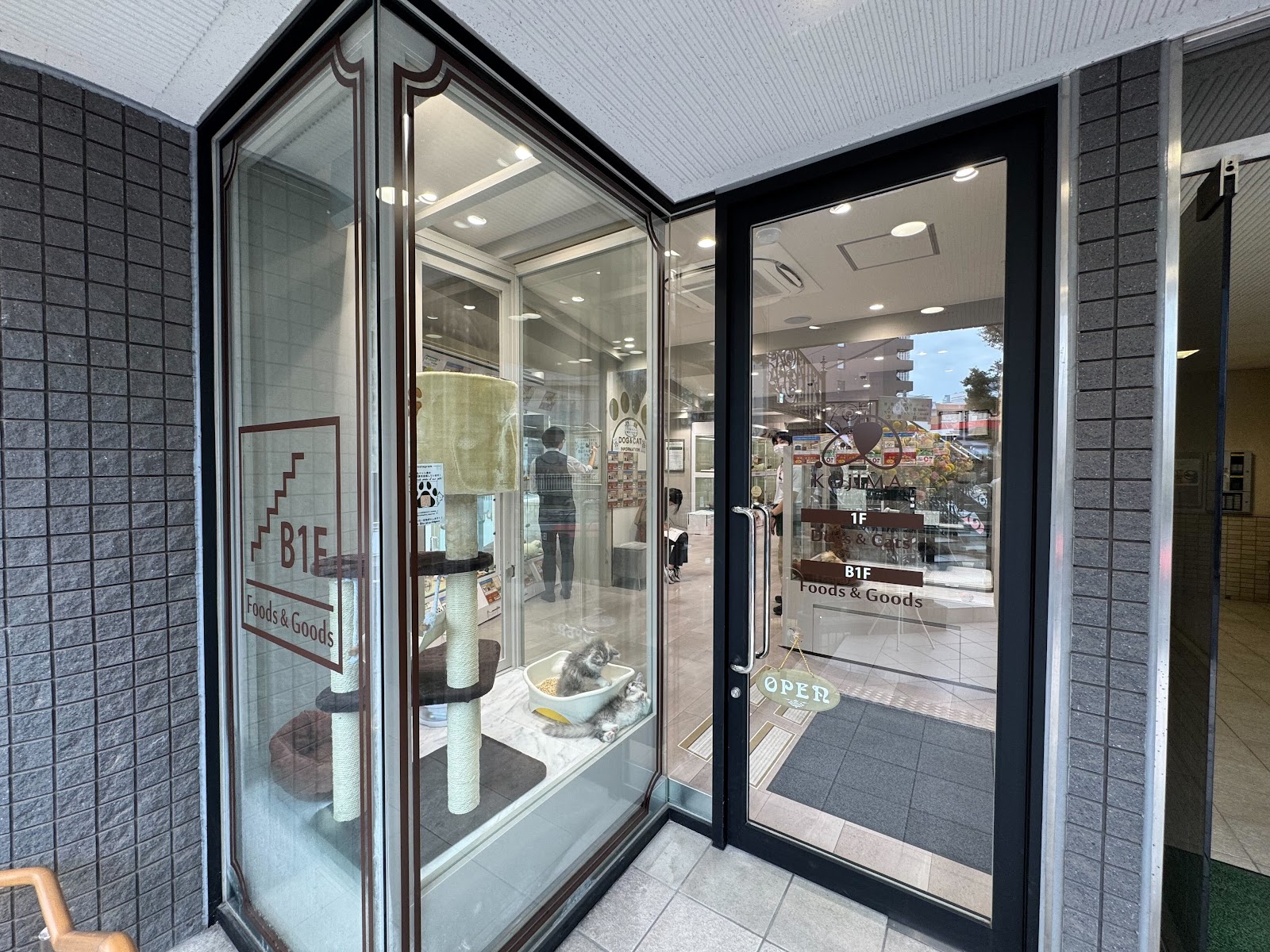 ペットの専門店コジマ 六本木店 グルーミング