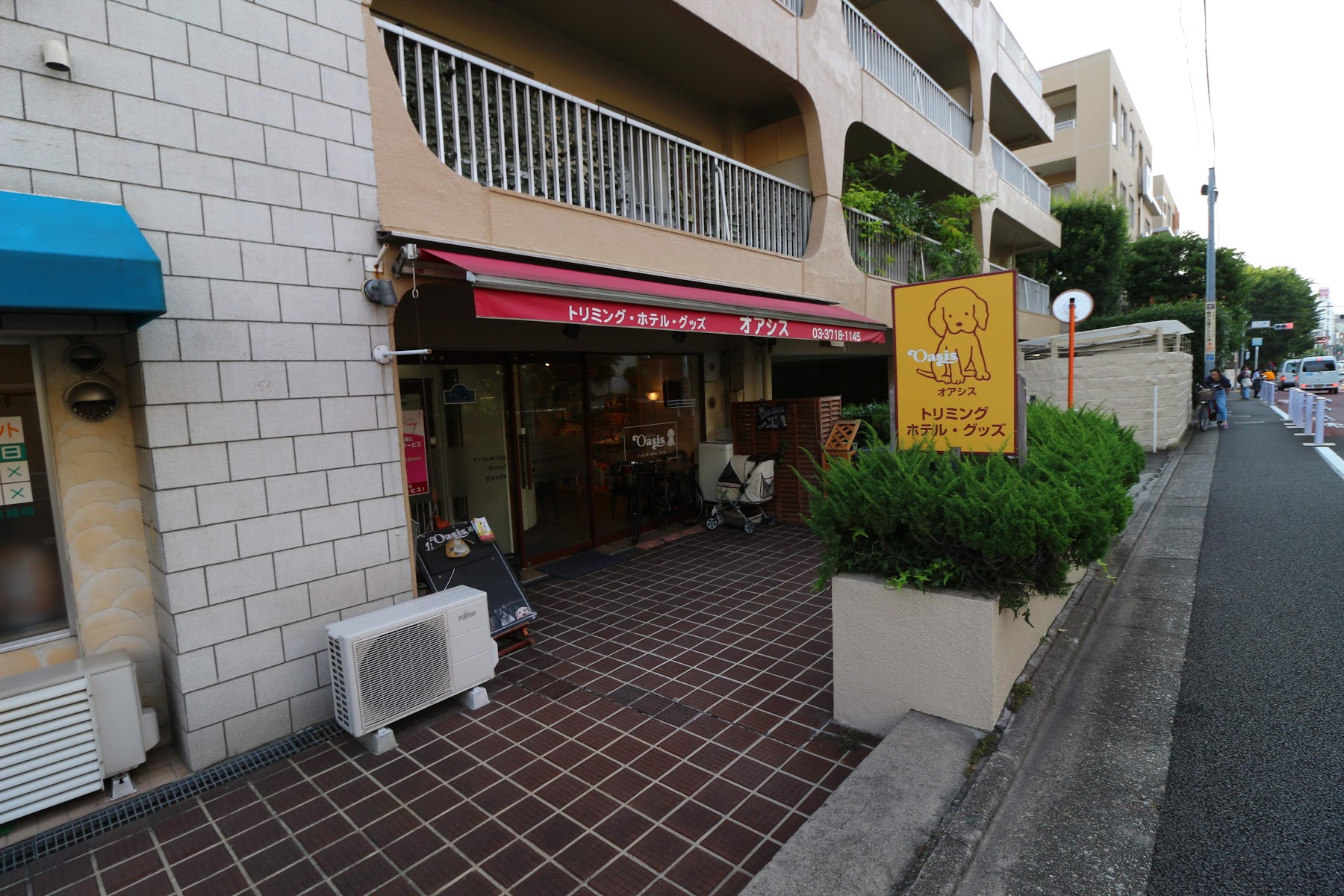 オアシス